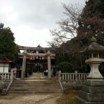 大帯姫八幡宮の桜