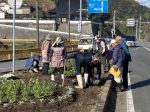 東北延寿会・婦人会の花壇づくり