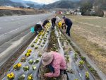 花壇の手入れ