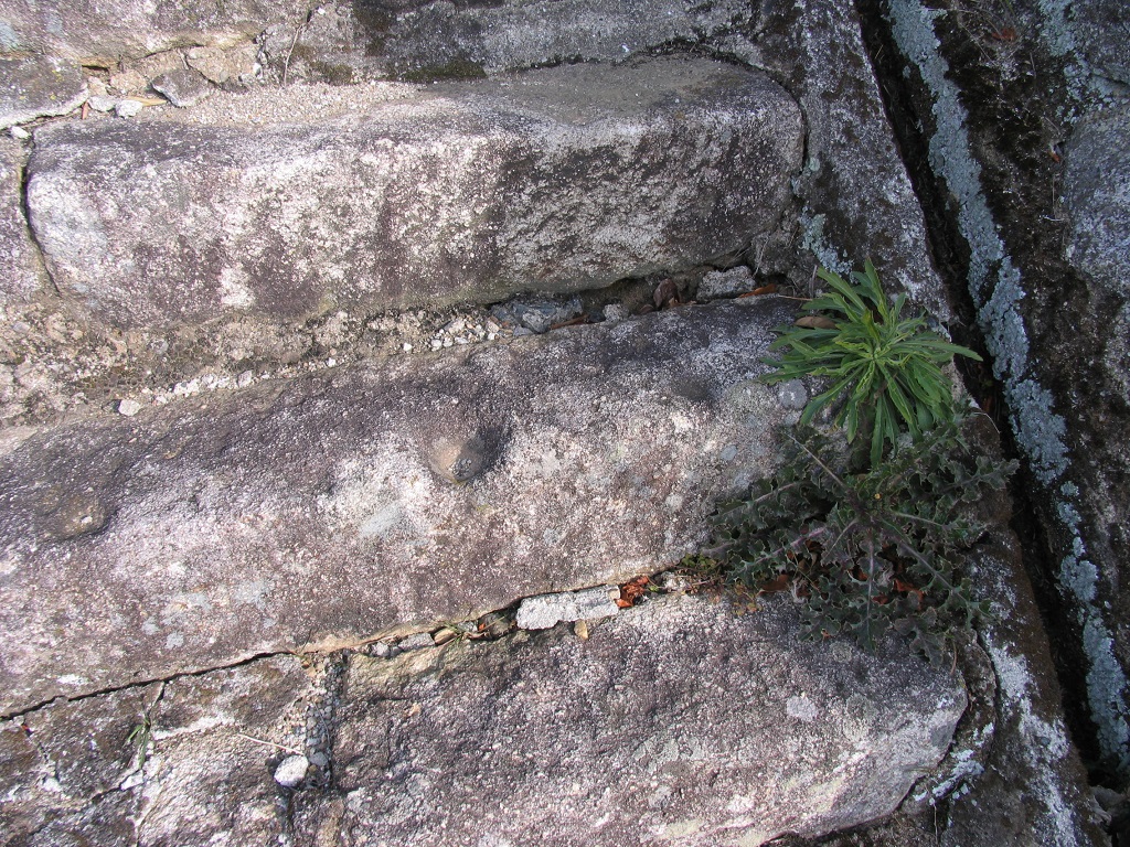 石段の盃状穴
