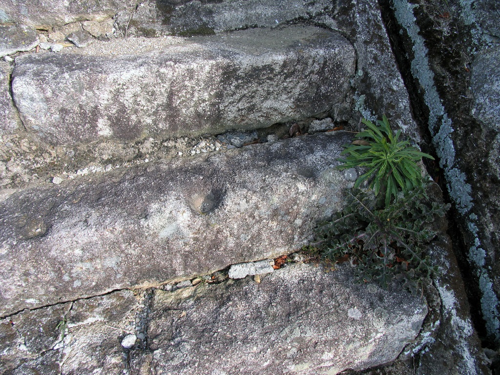 十楽寺跡の石段