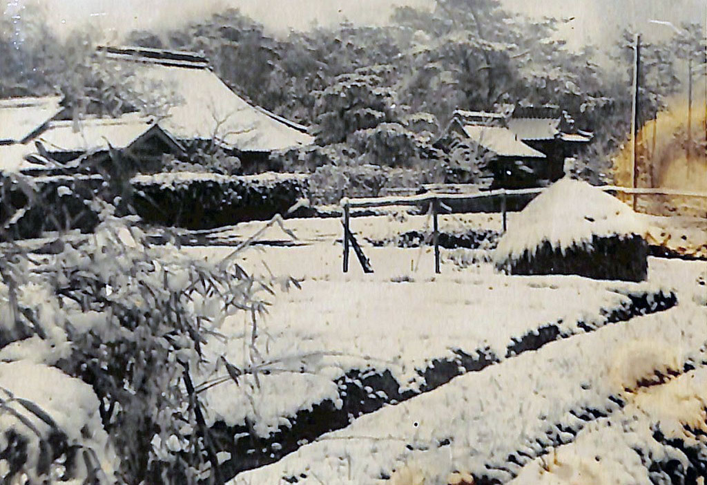 雪と建替前の教徳寺